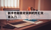 新手也能稳定获利的外汇交易入门(外汇交易实战快速入门)