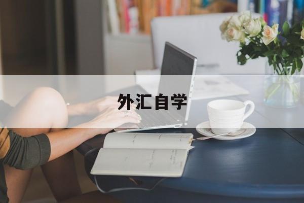 外汇自学(外汇自学教程视频)